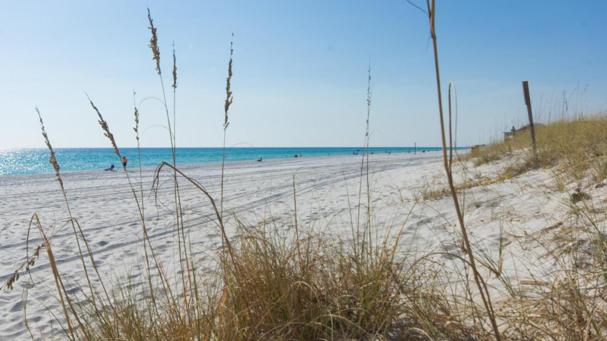 Brand New Home With In-Ground Pool, Four Houses From Beautiful Laguna Beach Panama City Beach Exterior foto